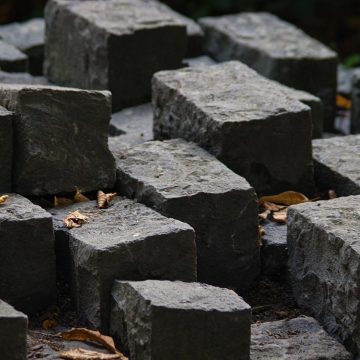 天眼 App 个人中心界面截图，沙色背景上排列着头像、收藏夹与历史记录入口